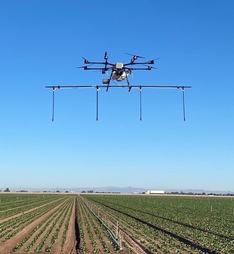 A drone in an agricultural field