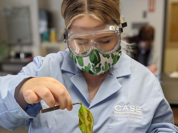 A student handling a plant specimen in the CASE lab. 