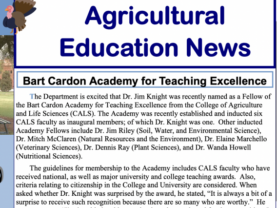 Screen shot of the first page of the fall 2010 AED newsletter. 