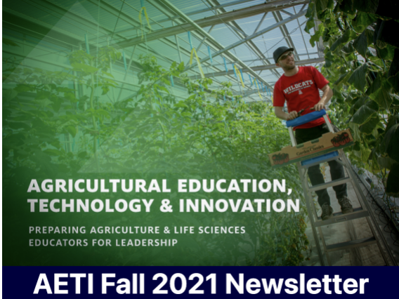 2021 AETI Department Newsletter header page. 