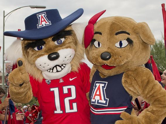University of Arizona mascots, Wilbur and Wilma Wildcat. 
